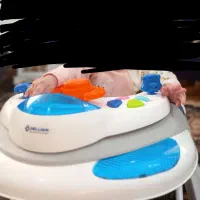 رورئک دلیجان