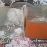 اکواریوم۲ عدد طول۱۲۰ عرض ۴۵