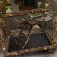 ساخت انواع توری یا قفس پرنده|لوازم جانبی حیوانات|تربت جام, علوی|دیوار