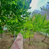 ویلا تمیز‌جنگلی دربست‌و استخرآب گرم وسرپوشیده درود|اجارهٔ کوتاه‌مدت ویلا و باغ|نیشابور, فردوسی جنوبی|دیوار