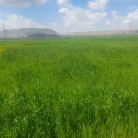 فروش-زمین-مسکونی-تجاری