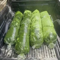 پخش سبزی خرد شده وسرخ شده   ۵۰|خوردنی و آشامیدنی|تهران, شهرک شریفی|دیوار