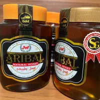 عسل آریبال ۸۰۰ گرم سوپر طلایی