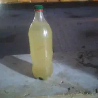 آبغوره کاملا بهداشتی وخالص