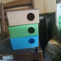 لونه مرغ عشق و کوتوله