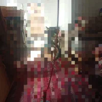 عروس هلندی و مرغ عشق با قفس پایه