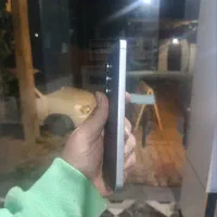 s25fe در حد نو|موبایل|بابل, |دیوار