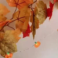 ریسه پاییزی،پاییز،برگ، ریسه چراغ دار،باتری|ریسه و چراغ تزئینی|تهران, سعادتآباد|دیوار