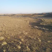 استخدام نیروی سرشماری