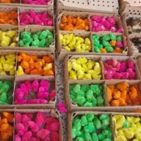 طیوران سلامت ایمن اردک جوجه محلی      رنگی گوشتی