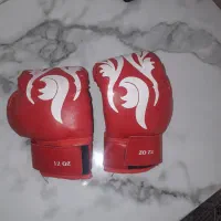 دستکش ووشو وبوکس