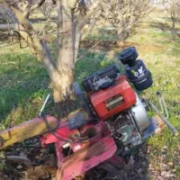 شخم زنی درختان با قیمت مناسب