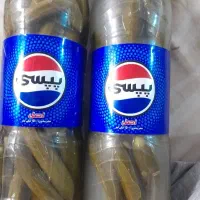 دو عدد بطری خیارشور