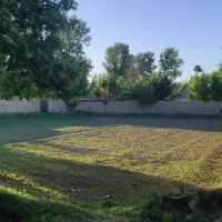 فروش-باغ-چهار-دیواری-شش-دانگ-سند-دار-در-ناژوان