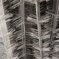 قلاب انگور سبزه بارانداز