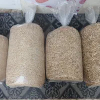 زغال تن با کو بقمچ