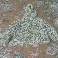 کاپشن|لباس|گرگان, |دیوار