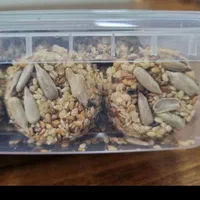 پخش پنیر پیتزا و کلوچه و معجون|حراج|بجنورد, |دیوار