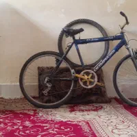 دوچرخه دنده ای ۲۶