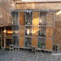 قفس جفتی وتعدادی کیوتر