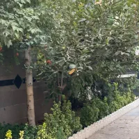 ۱۵۰متر ویلایی دربست مناسب سالن زیبایی و همه مشاغل