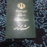 شناسنامه به اسم دنیز دیانت نیا گمشده