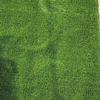 چمن مصنوعی|گل مصنوعی|مسجد سلیمان, |دیوار