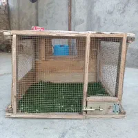 قفس چوبی محکم