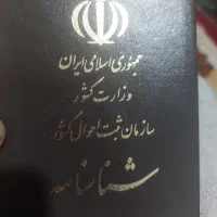 شناسنامه پیدا کردم