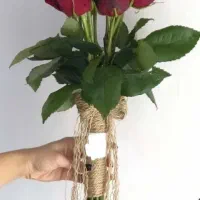 گل رز طبیعی شاخه ای50