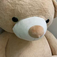 خرس|کلکسیون و سرگرمی|سبزوار, هویزه|دیوار