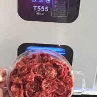 دستگاه میوه‌خشک‌کن T555 خانگی/نیمه‌صنعتی
