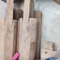 دارقالی (خلچه کامل)