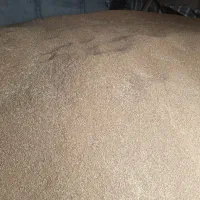 گندم قرمز با کیفیت بسیار خوب و یکدست یک رقم|خوردنی و آشامیدنی|رشت, دیلمان|دیوار