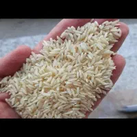 برنج دم سیاه اعلا
