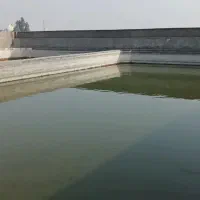 استخر-پرورش-ماهی