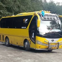 سرویس دربستی