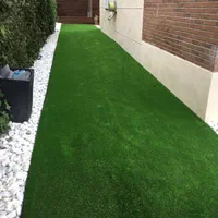 چمنمصنوعی جلوی مغازه|مصالح و تجهیزات ساختمان|تبریز, |دیوار