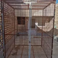 قفس