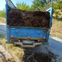 کود گوسفندی