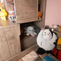 تخت ۲طبقه|تخت و صندلی بچه|هشتگرد, شهرک ایران خودرو|دیوار