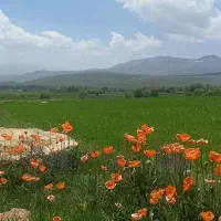 فروش خانه ویلایی ۱۱۰۰متر زیربنا۱۲۰متر|فروش خانه و ویلا|نیر (اردبیل), |دیوار