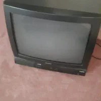 تلوزیون