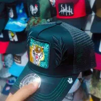 گورین اصل|لباس|بندرعباس, |دیوار