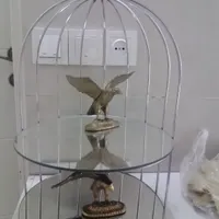 دکوری قفس وعقاب برنزی