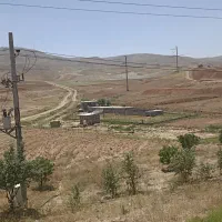 فروش دامداری