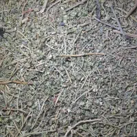 خارخاسک|خوردنی و آشامیدنی|رضویه, |دیوار