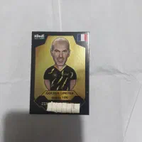 گلدن زیدان سالم و تمیز