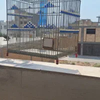 قفس سهره