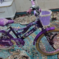 دوچرخه 20 دوخترونه در حد نو|دوچرخه، اسکیت، اسکوتر|شیراز, پودنک|دیوار